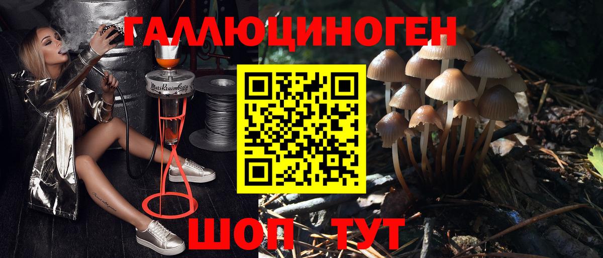 Псилоцибиновые грибы мицелий Рассказово